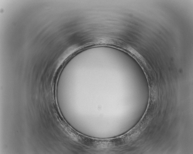 X0000065260886200602211247