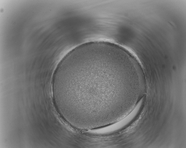 X0000065260887200602211247