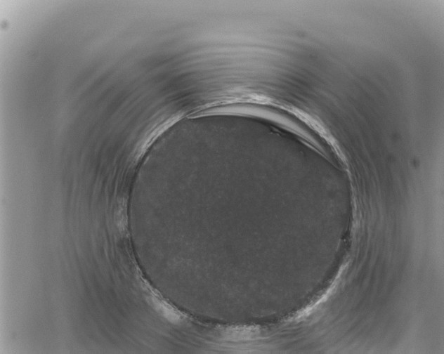 X0000065260889200602211247