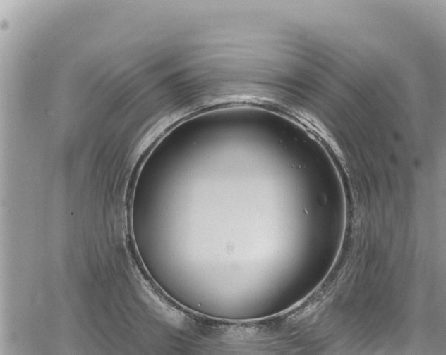 X0000065260890200602211247