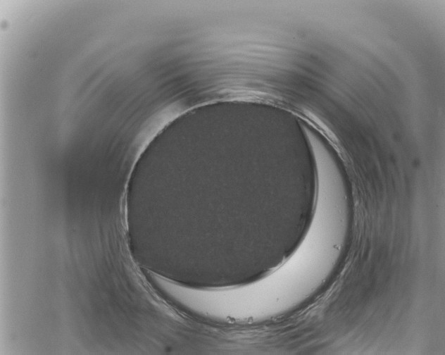 X0000065260891200602211247