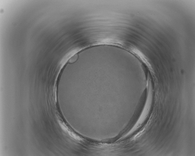 X0000065260892200602211247