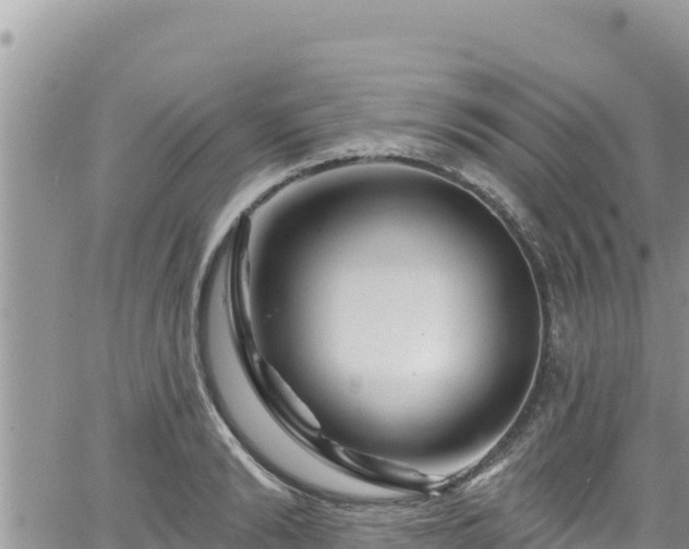 X0000065260894200602211247