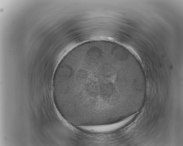 X0000065260895200602211247