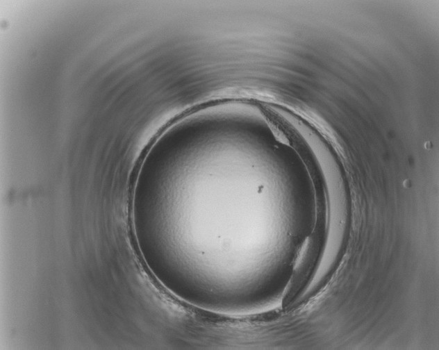 X0000065260896200602211247