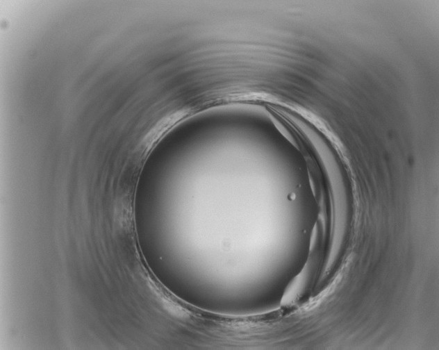 X0000065260897200602211247