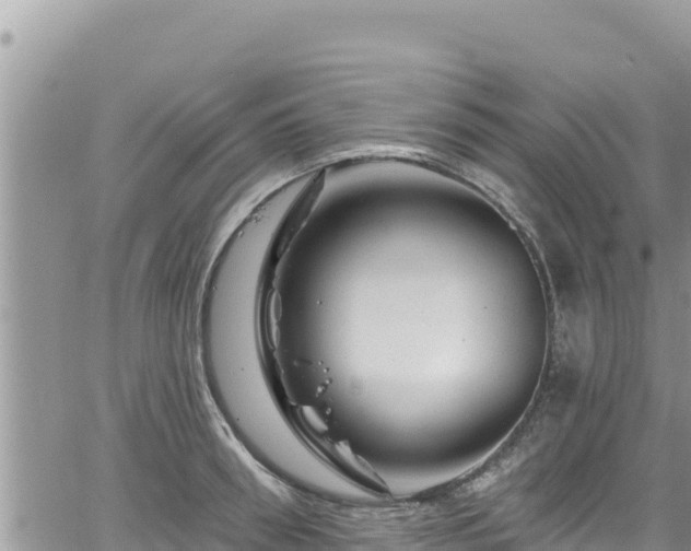 X0000065260898200602211247