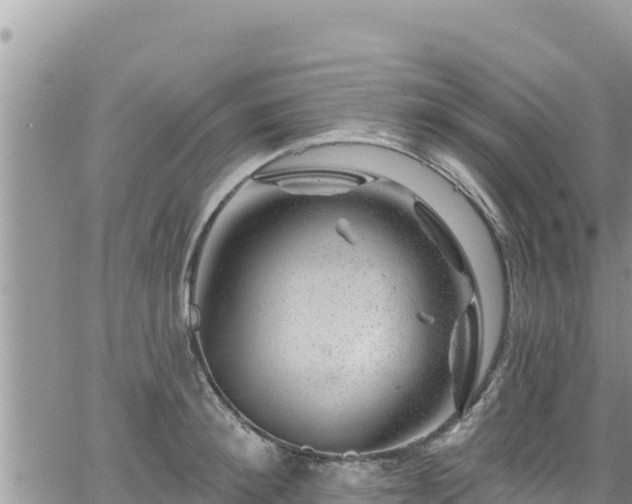 X0000065260900200602211247