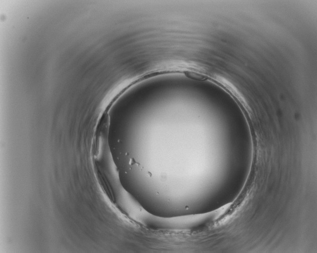 X0000065260901200602211247