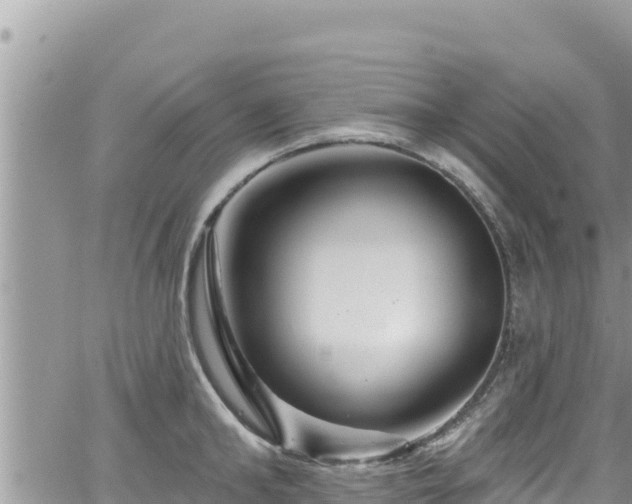 X0000065260902200602211247