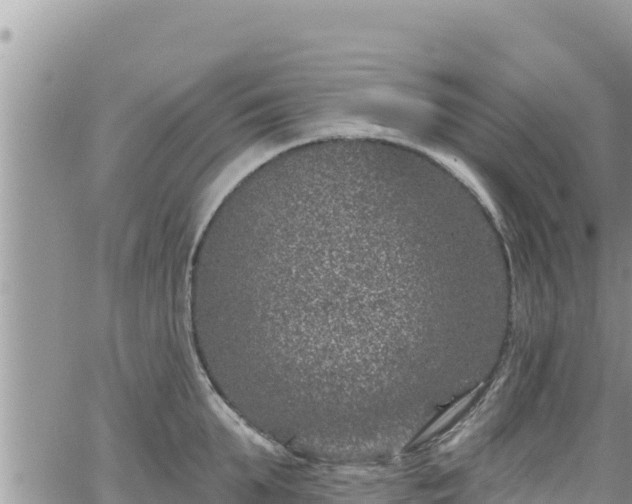 X0000065260903200602211247