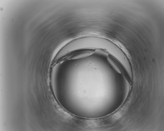 X0000065260904200602211247