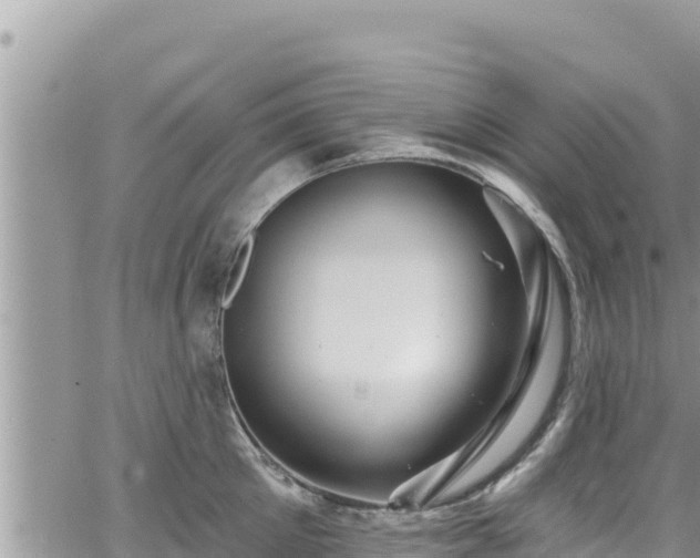 X0000065260905200602211247