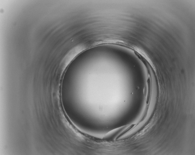 X0000065260906200602211247