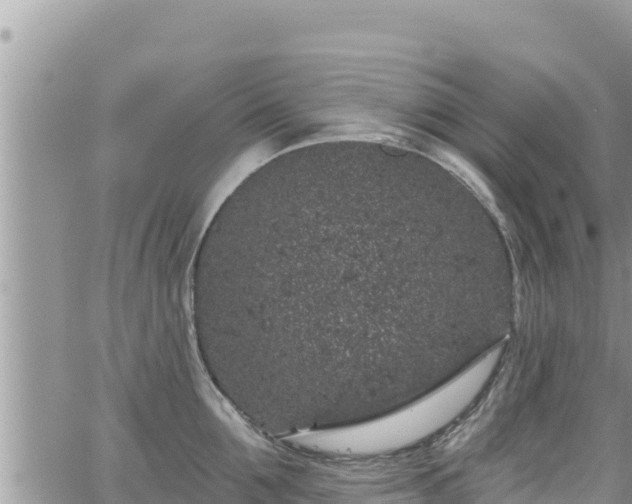 X0000065260907200602211247