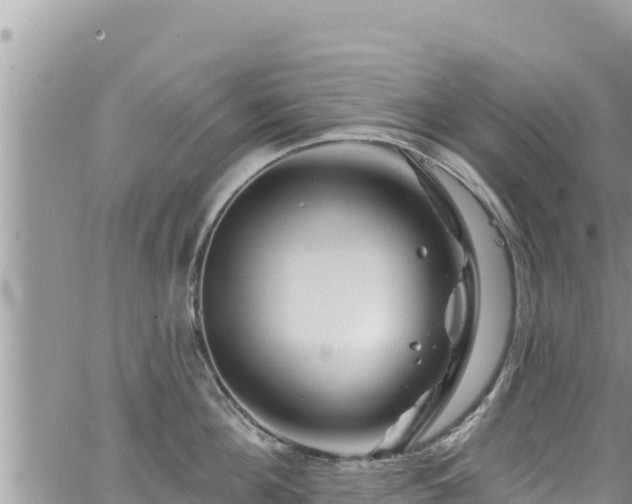 X0000065260908200602211247