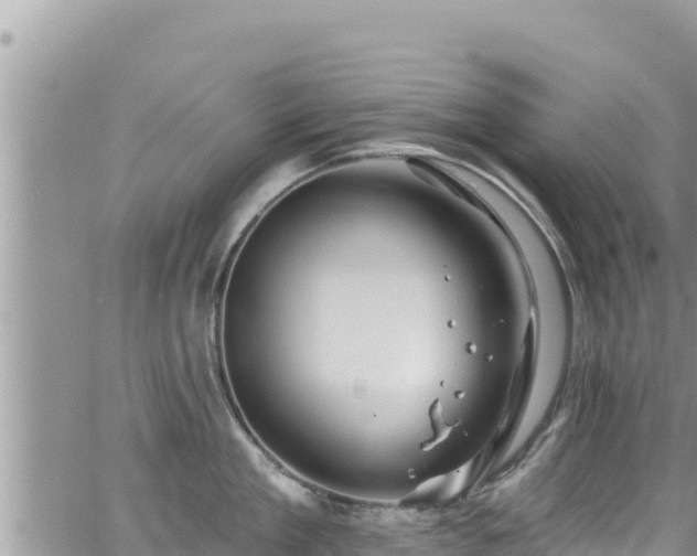 X0000065260909200602211247