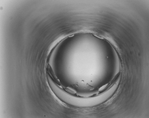 X0000065260910200602211247