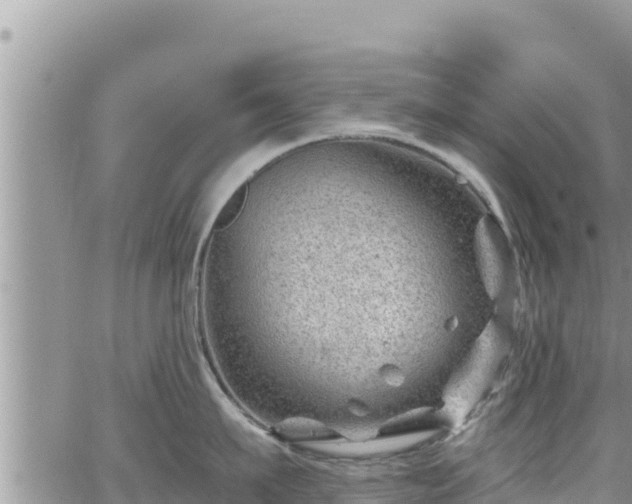 X0000065260911200602211247