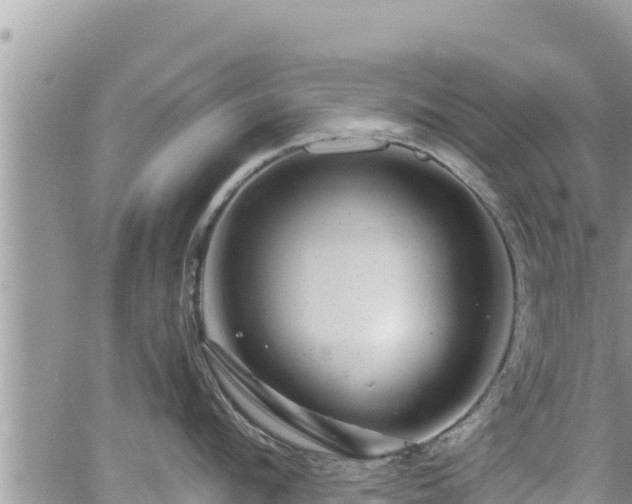 X0000065260912200602211247