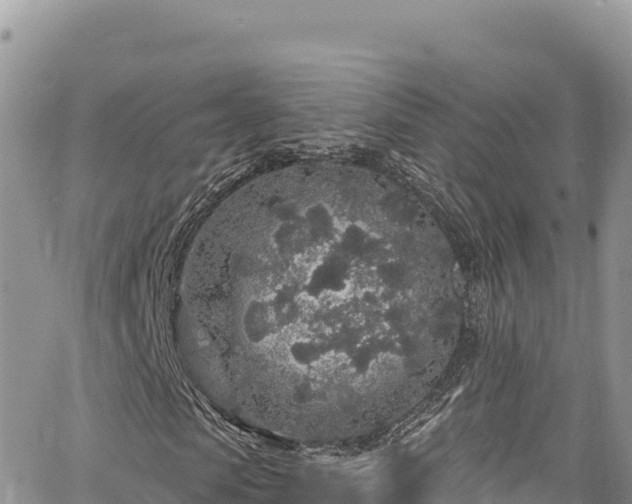 X0000065260913200602211246