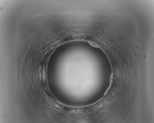 X0000065260914200602211246