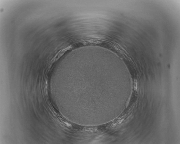 X0000065260915200602211246