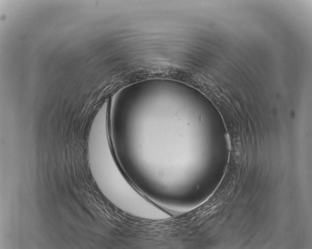 X0000065260916200602211246