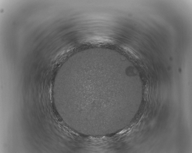 X0000065260917200602211246