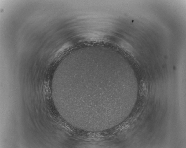 X0000065260918200602211246