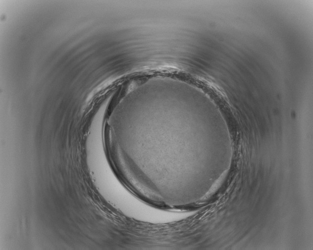 X0000065260920200602211246