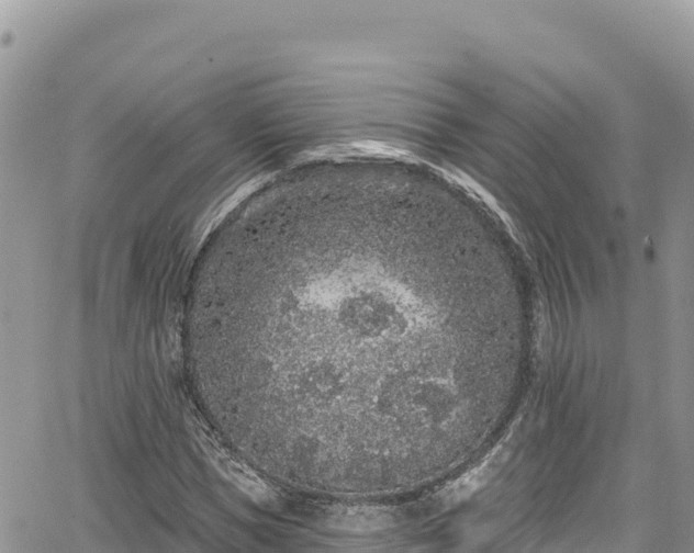 X0000065260921200602211246