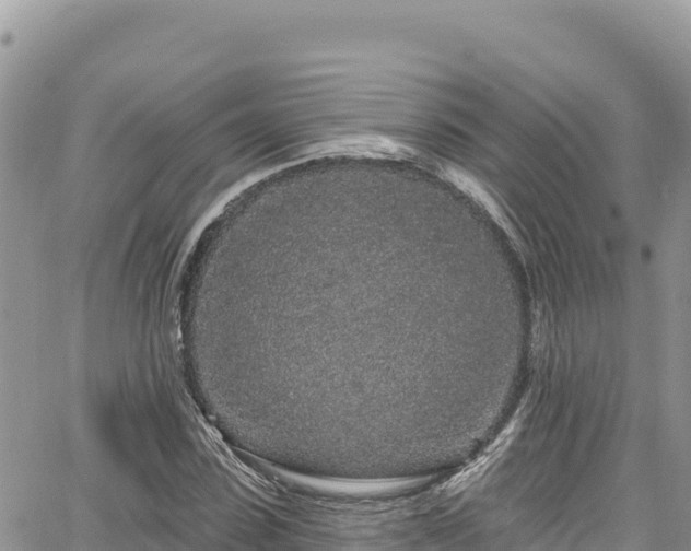 X0000065260923200602211246