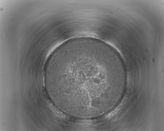 X0000065260925200602211246