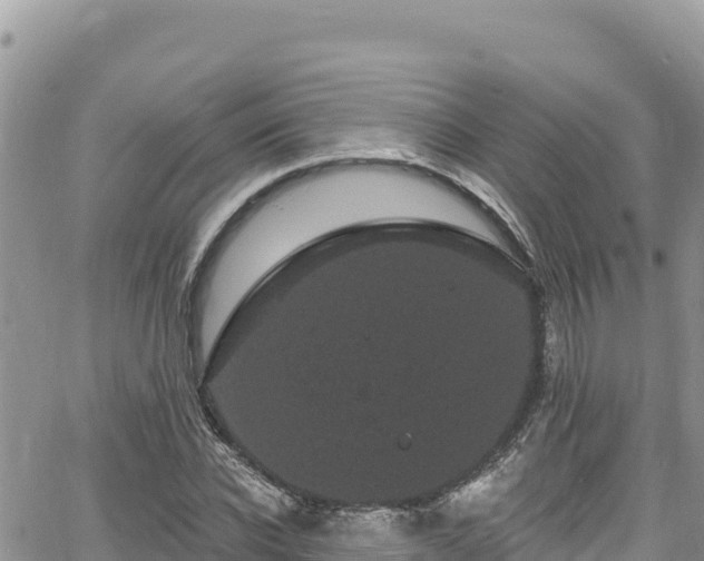 X0000065260926200602211246