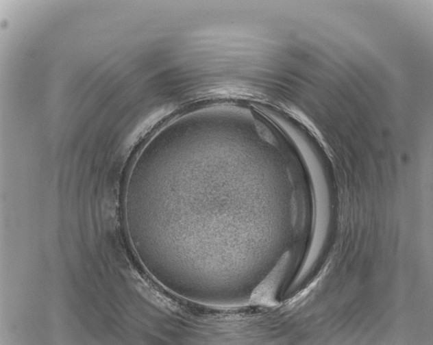 X0000065260930200602211246