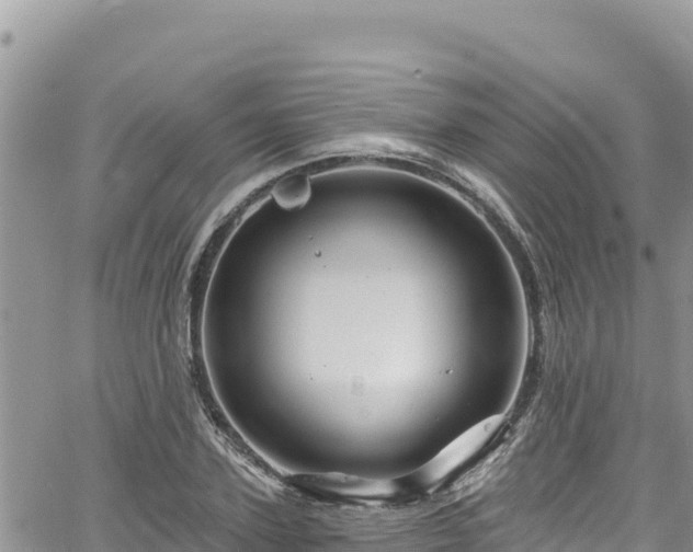 X0000065260931200602211246