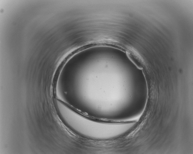 X0000065260932200602211246