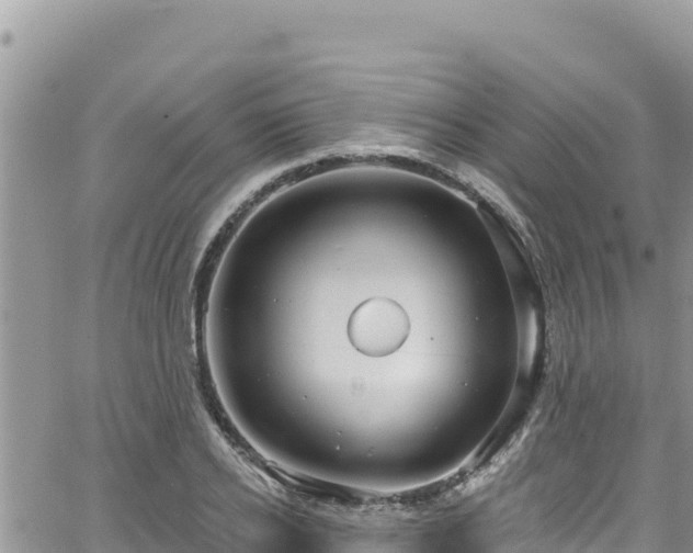 X0000065260934200602211246