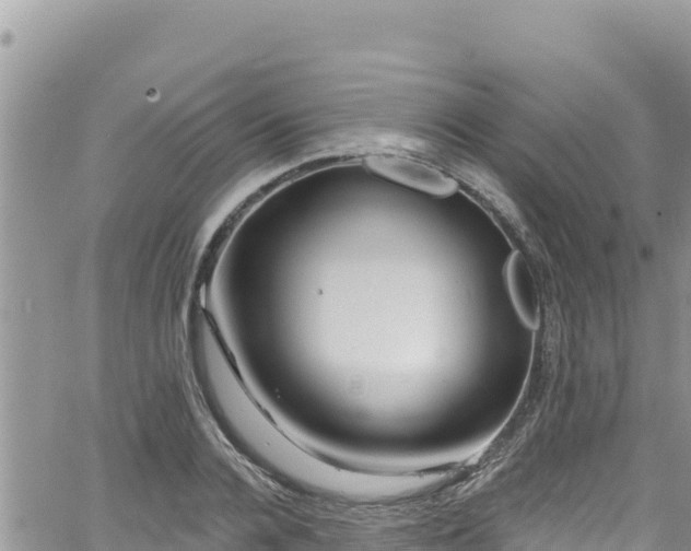 X0000065260936200602211246