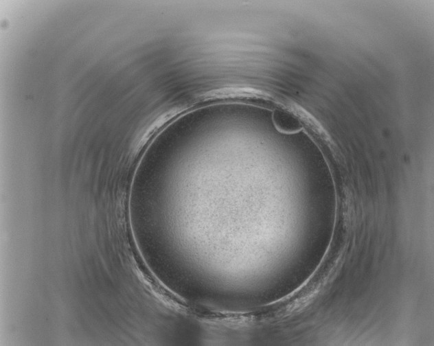 X0000065260937200602211246