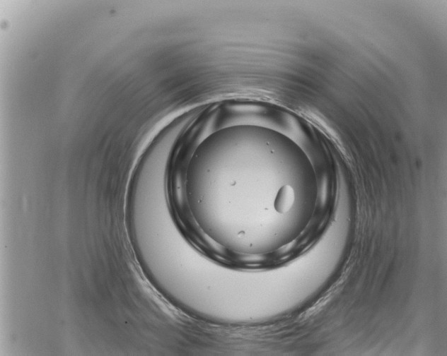 X0000065260940200602211246