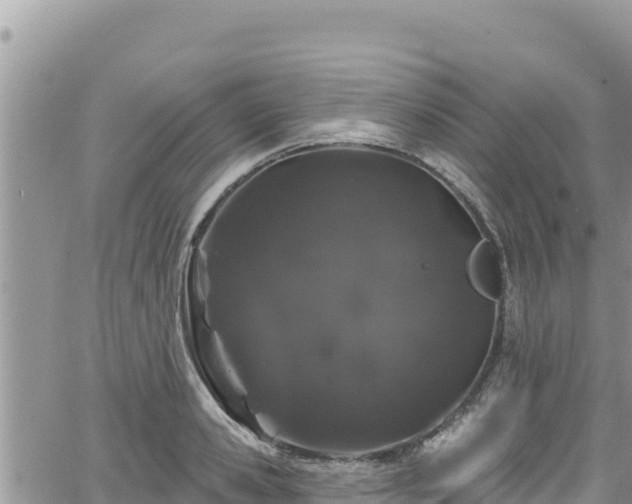 X0000065260941200602211246