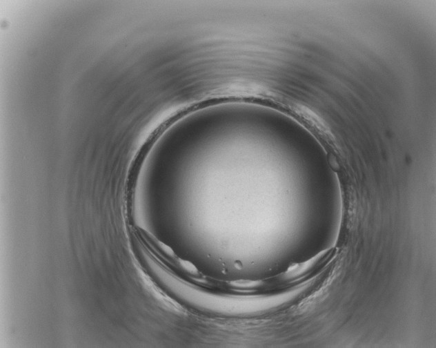 X0000065260942200602211246