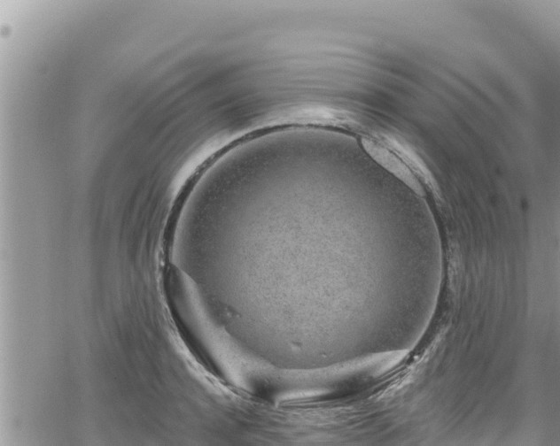 X0000065260944200602211246