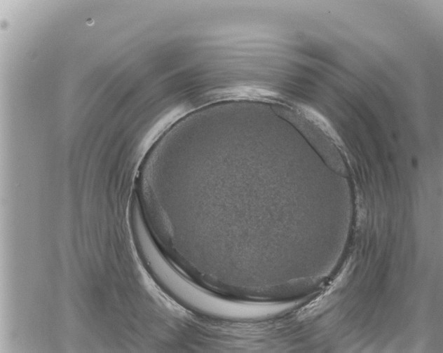 X0000065260946200602211246