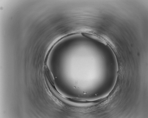 X0000065260948200602211246