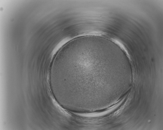 X0000065260952200602211246