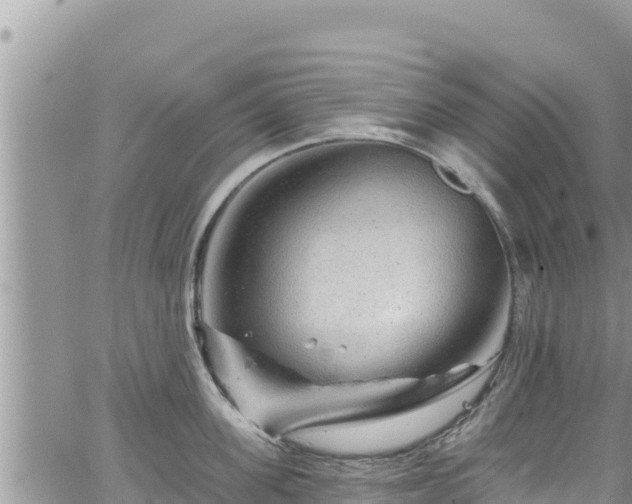 X0000065260955200602211246