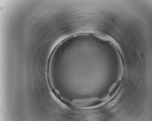 X0000065260958200602211246